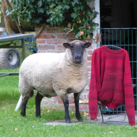 Ferienhaus Omas Oll Huus